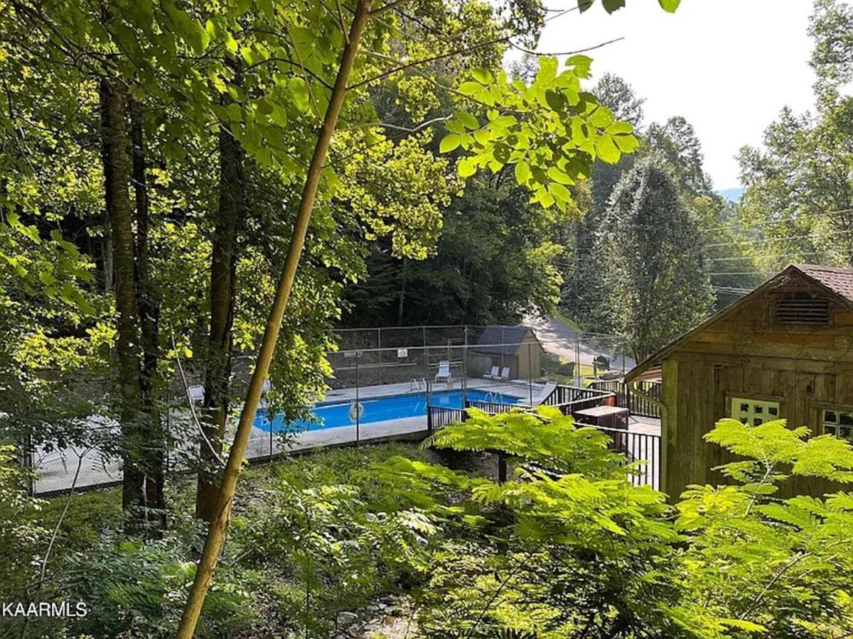 Hawks View Gatlinburg Mountain Cabin 外观 照片